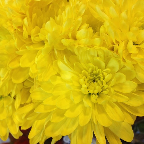 Top Foods Grocery Store in Yakima