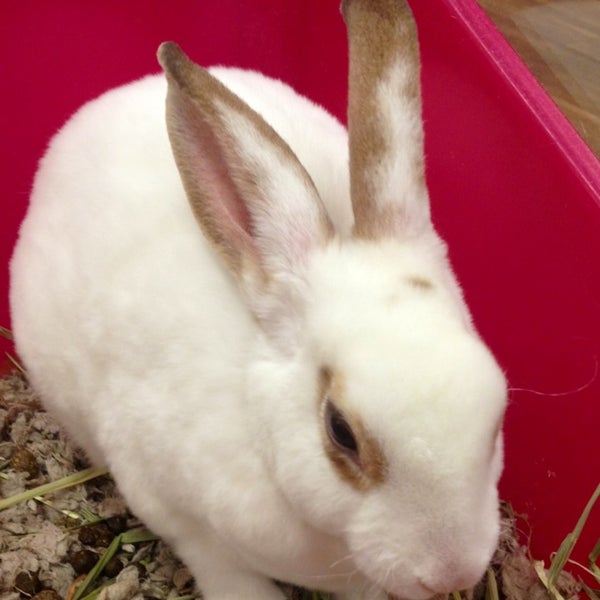 Kahoots Pet Supplies Store in San Diego