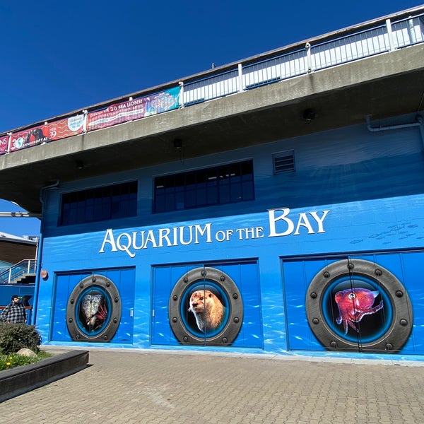 Foto tirada no(a) Aquarium of the Bay por Andrew D. em 3/2/2020