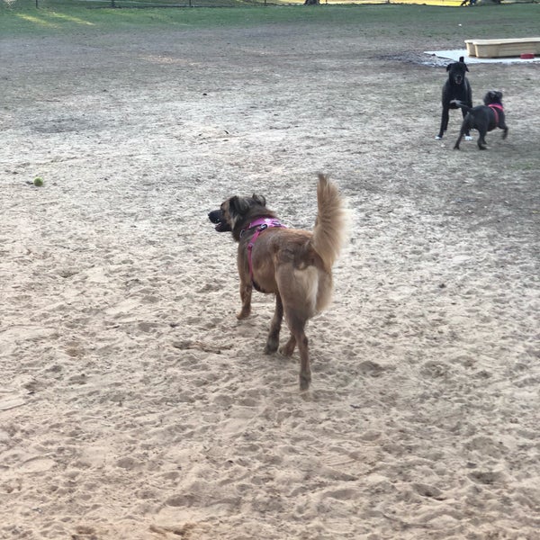 Fotos en Raising Cane's Dog Park Parque para perros en Baton Rouge