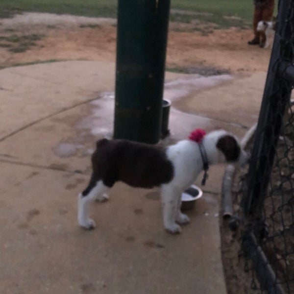 Fotos en Raising Cane's Dog Park Parque para perros en Baton Rouge