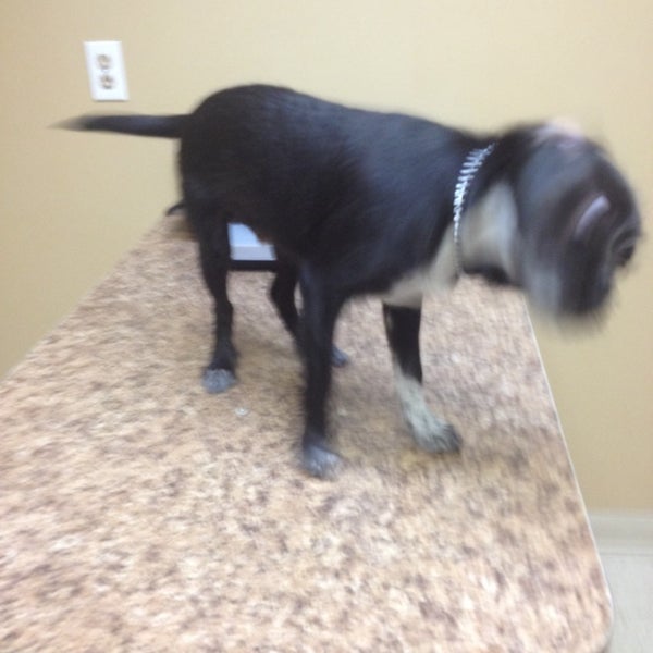 Photos at Beltway Animal Hospital - Oak Hill - 3 tips Photos at Beltway Animal Hospital - Oak Hill - 3 tips