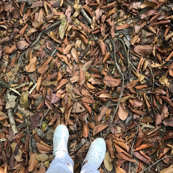 Снимок сделан в Tub Kaek - Khao Ngon-Nak Nature Trail пользователем Kullastri K. 2/8/2020