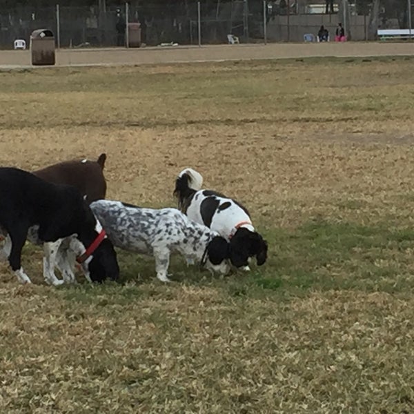 Orange Dog Park 23 tips from 559 visitors