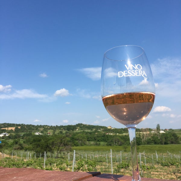 Foto diambil di Vino Dessera Vineyards oleh Nihal pada 5/19/2023
