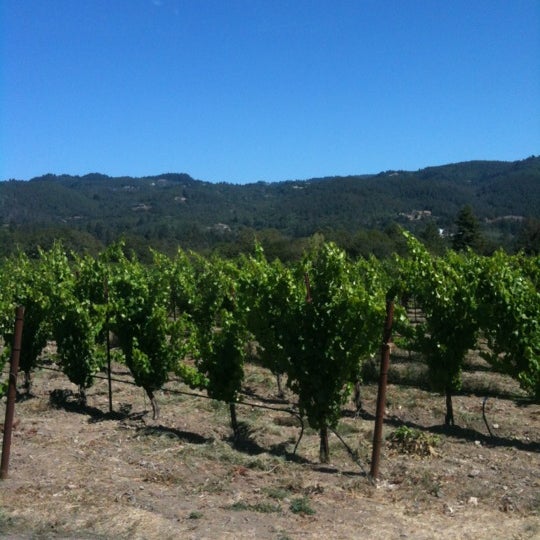 Photo taken at Lasseter Family Winery by Jeanine Y. on 9/18/2012