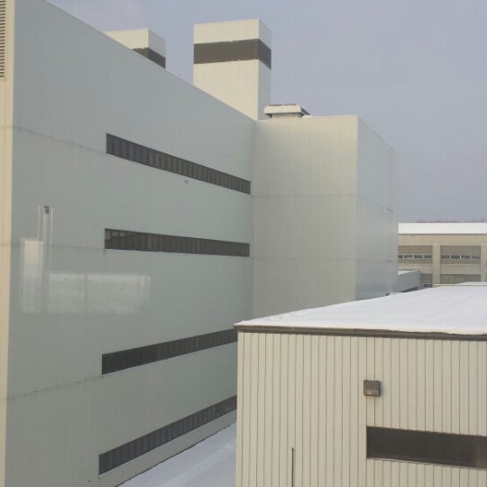 Endicott Florist Endicott Ny at Danny Fleming blog