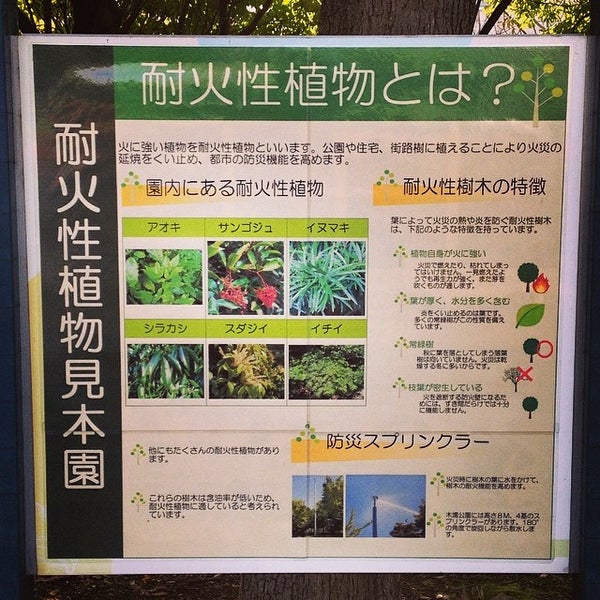 木場公園テニスコート 平野4