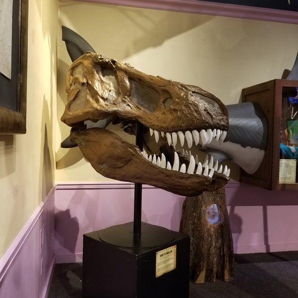 Photo taken at Ripley&#39;s Believe It or Not! by Daria G. on 12/1/2019