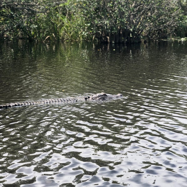 Photo taken at Everglades Holiday Park by Saad D. on 9/5/2019