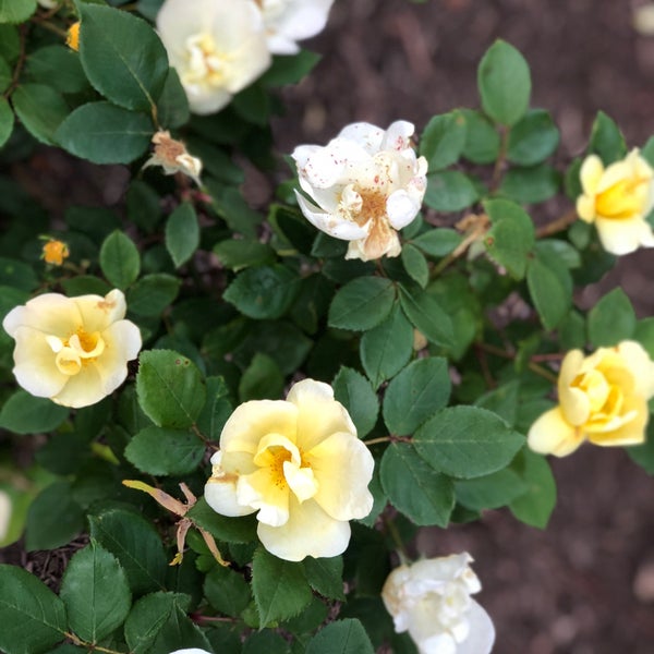 Photos at Apple Saddle Creek 53 tips