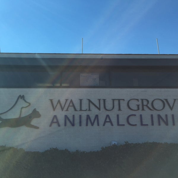 Photos at walnut Grove Animal Clinic BinghamptonLester Walnut Grove
