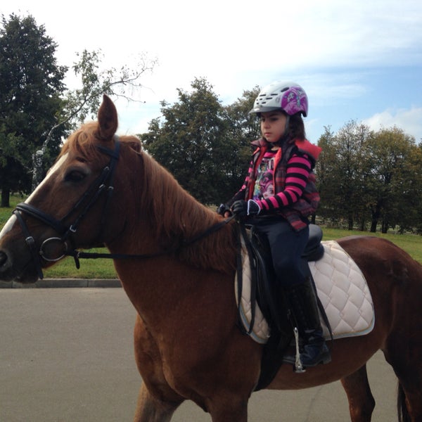 Новый век конно спортивный комплекс