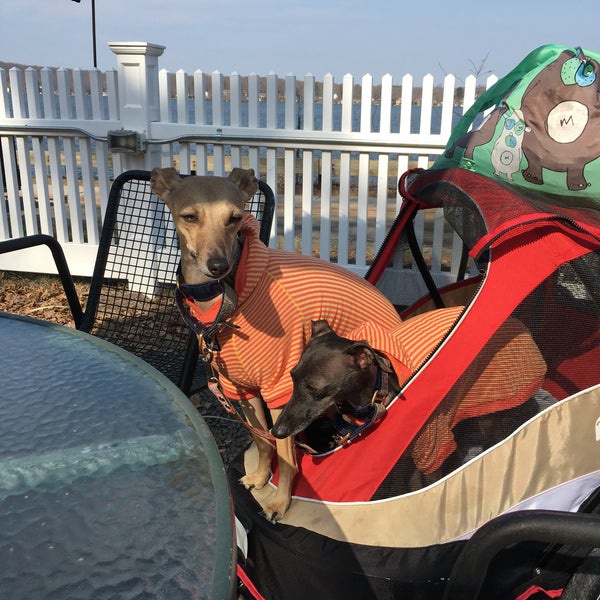 Angelico's Lakehouse Restaurant East Hampton, CT