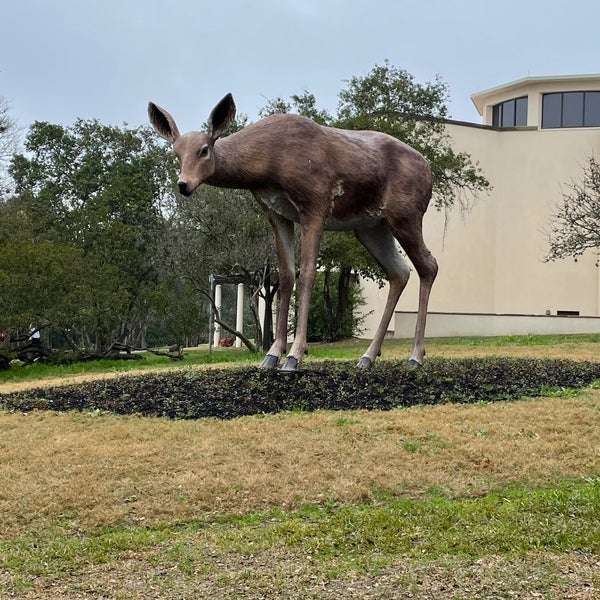Photo taken at McNay Art Museum by Marguerite A. on 1/24/2021