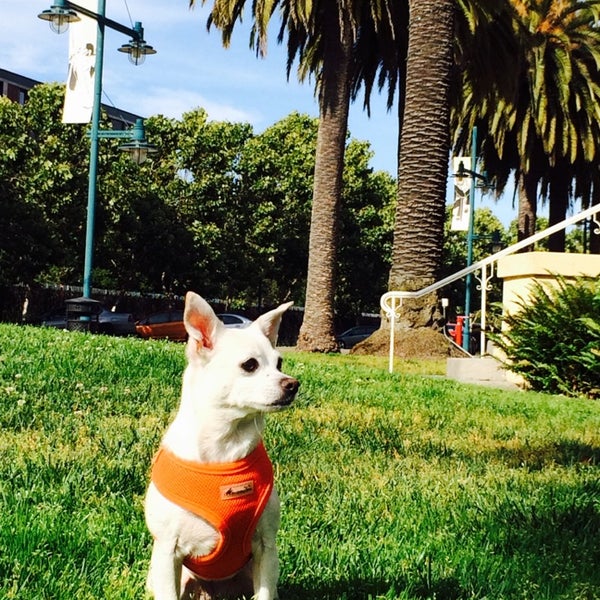 Photos at Emeryville City Hall City Hall in Park Avenue