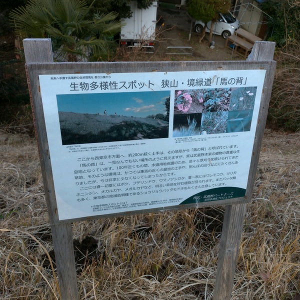 Photos At 狭山 境緑道 馬の背 Photos At 狭山 境緑道 馬の背