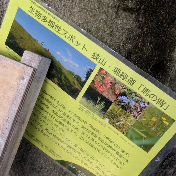 Photos At 狭山 境緑道 馬の背 Photos At 狭山 境緑道 馬の背