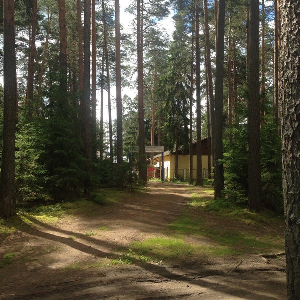 Лагерь Спутник Тверская область