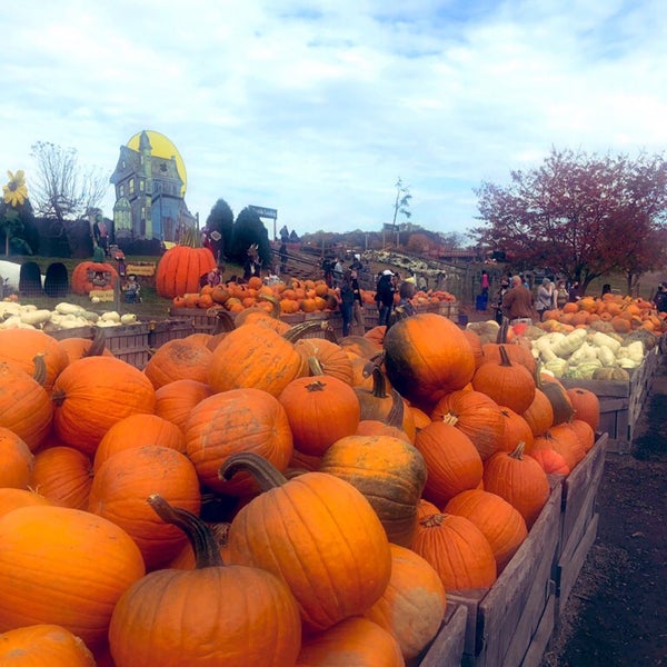 Photo taken at Linvilla Orchards by ⚓️ Jessica S. on 10/24/2020