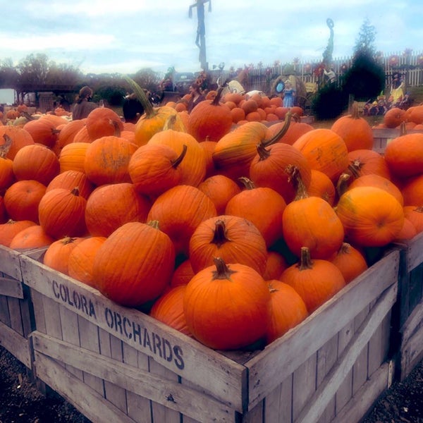 Photo taken at Linvilla Orchards by ⚓️ Jessica S. on 10/24/2020