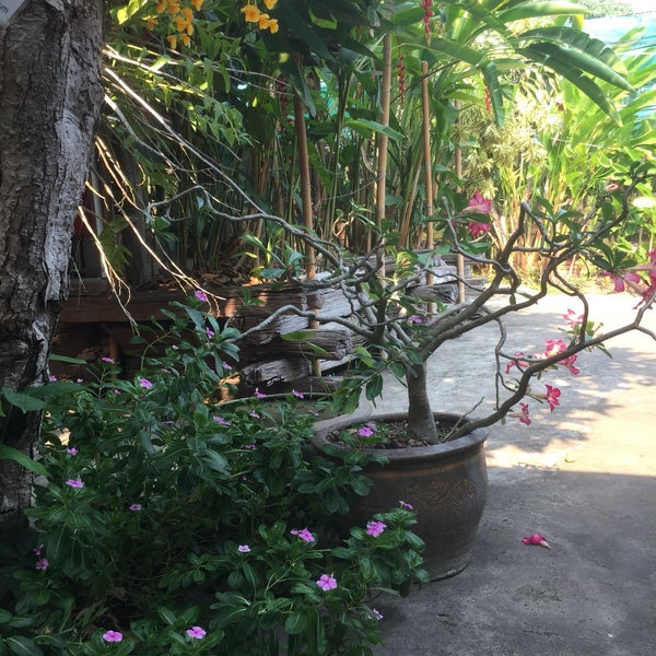 Photo taken at Sainamphung Orchids สวนกล้วยไม้สายน้ำผึ้ง by Rodrigo B. on 4/6/2016