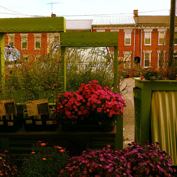 Lemon Street Market Stadium District 7 tips from 173 visitors