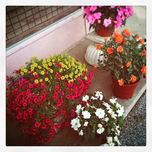 Ginza Japanese Restaurant 7 tips