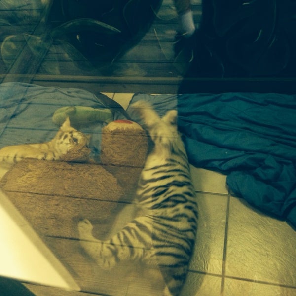8/6/2014にCandie W.がAlabama Gulf Coast Zooで撮った写真