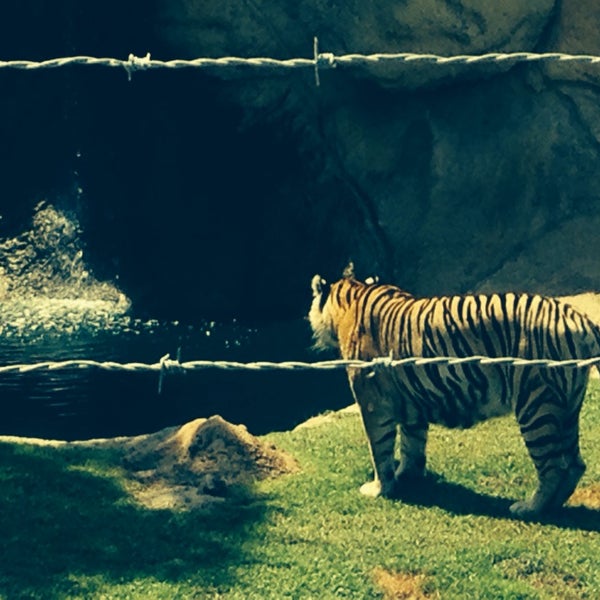 Photo taken at Alabama Gulf Coast Zoo by Candie W. on 8/6/2014