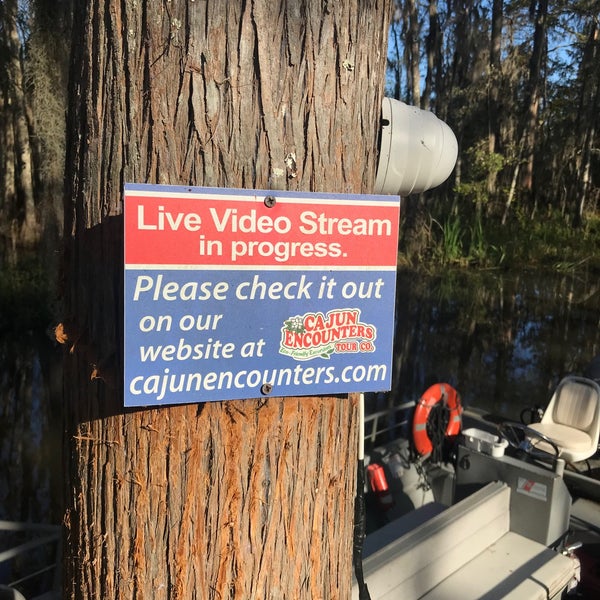 Photos at Cajun Encounters Honey Island Swamp Tour Slidell, LA