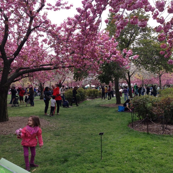 Foto tirada no(a) Brooklyn Botanic Garden por Amitava B. em 4/28/2013