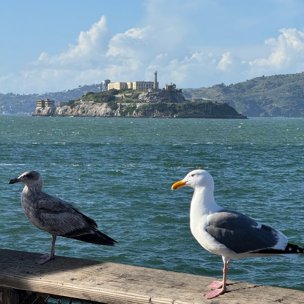 4/6/2024 tarihinde Surachet L.ziyaretçi tarafından Alcatraz Adası'de çekilen fotoğraf