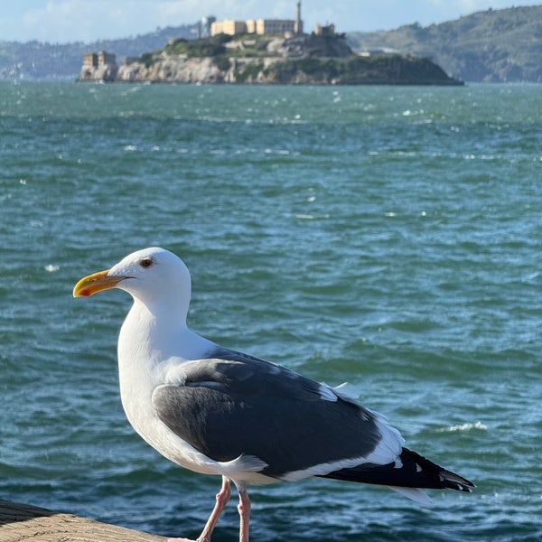 4/6/2024 tarihinde Surachet L.ziyaretçi tarafından Alcatraz Adası'de çekilen fotoğraf