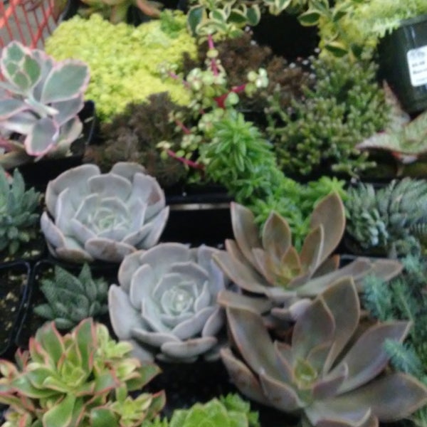 The Home Depot Hardware Store in Hilo