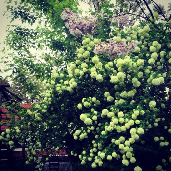 Obora Et Mangal polonezköy�da Barbekü Restoranı�da fotoğraflar