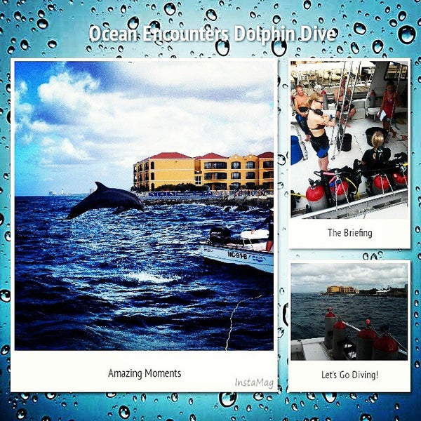 Foto tomada en Dolphin Academy  por Dive Curacao O. el 9/11/2014