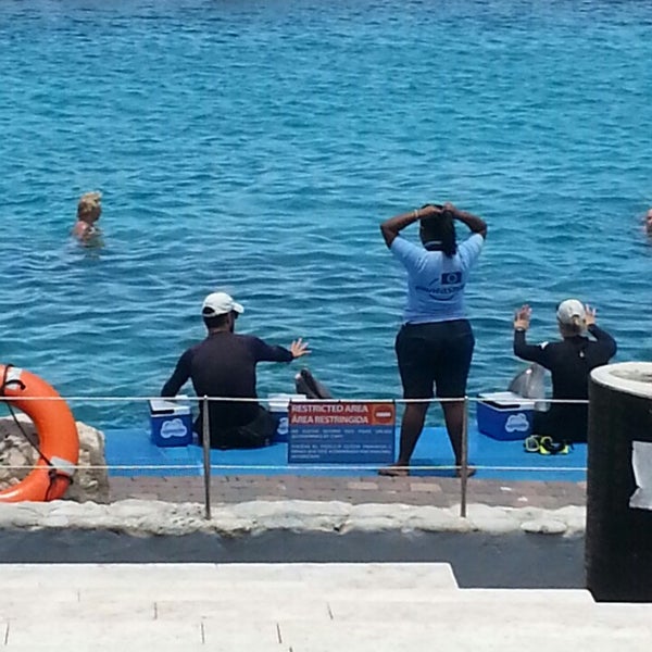 5/13/2014 tarihinde Dive Curacao O.ziyaretçi tarafından Dolphin Academy'de çekilen fotoğraf