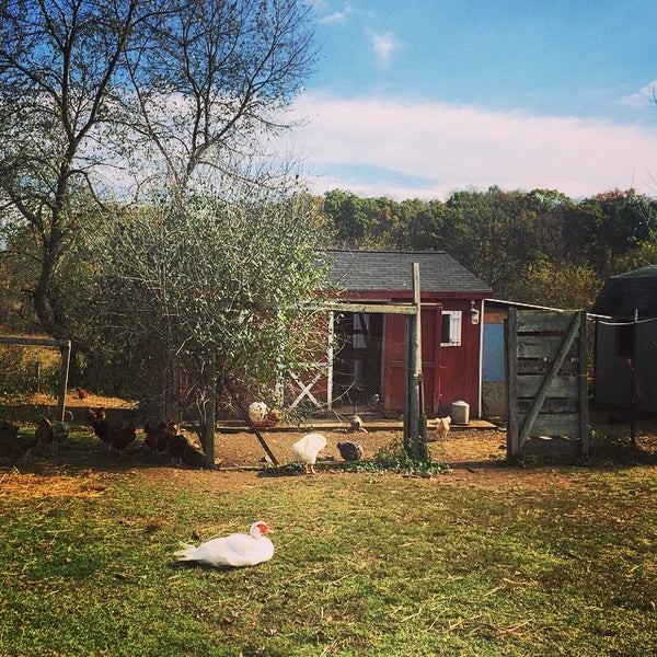 10/25/2014にYesbelt F.がSprout Creek Farmで撮った写真