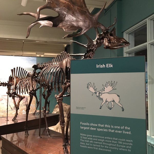 Foto tomada en Carnegie Museum of Natural History  por Eric el 8/12/2018