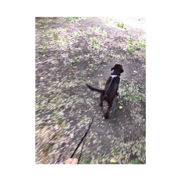 путь домой альметьевск