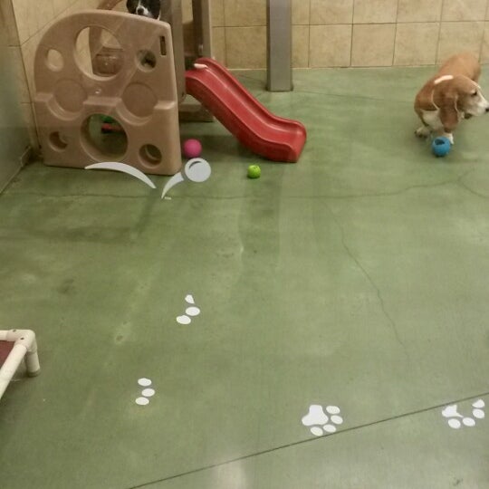 PetSmart Tienda de mascotas en West Omaha