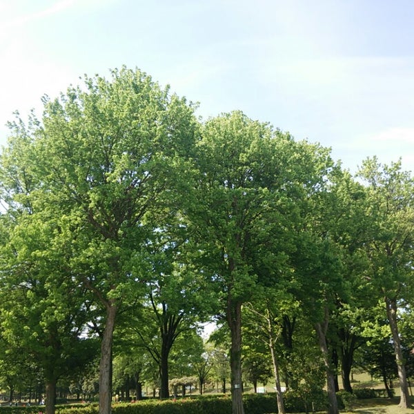 常願寺川公園 利田 常願寺川公園 利田
