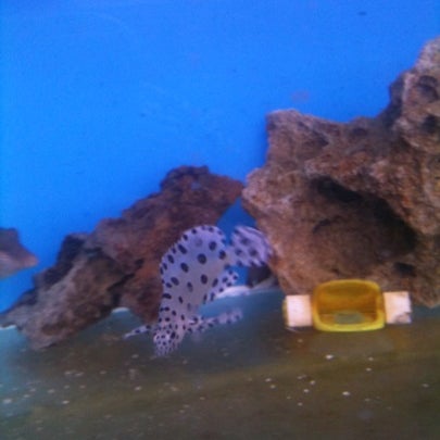 Photo taken at Aquarium Arts by Gabrielle S. on 7/19/2012