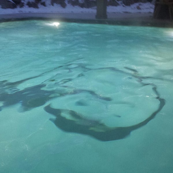 1/18/2015 tarihinde Matteo T.ziyaretçi tarafından Active Hotel Olympic - Val di Fassa'de çekilen fotoğraf