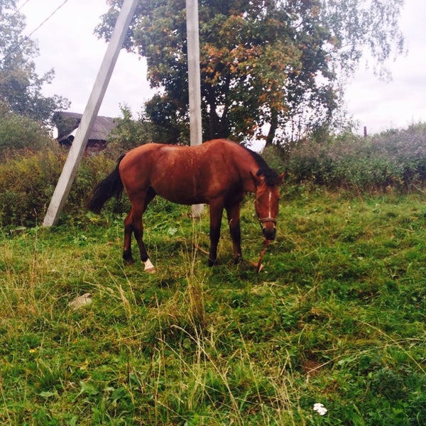 Деревня взгляднево водопад. Д взгляднево. Д взгляднево. Деревня взгляднево сергиев посад. Д взгляднево.