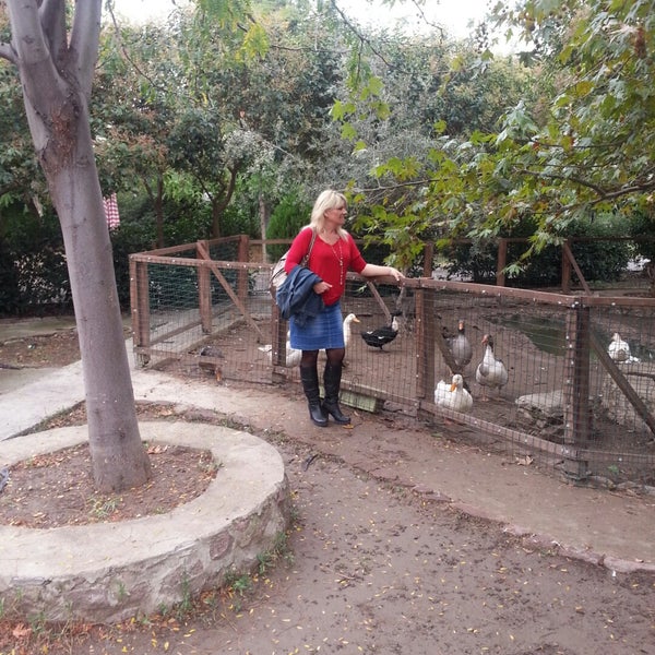 รูปภาพถ่ายที่ Çim Kahvaltı &amp; Mangal Bahçesi โดย Öznur G. เมื่อ 10/29/2014