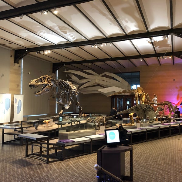 Foto tirada no(a) Museum voor Natuurwetenschappen / Muséum des Sciences naturelles por Elizabeth A. em 12/6/2019