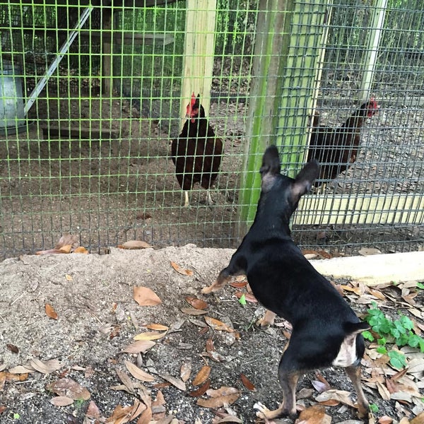 Pine Hills Nursery Outdoor Supply Store in Pass Christian