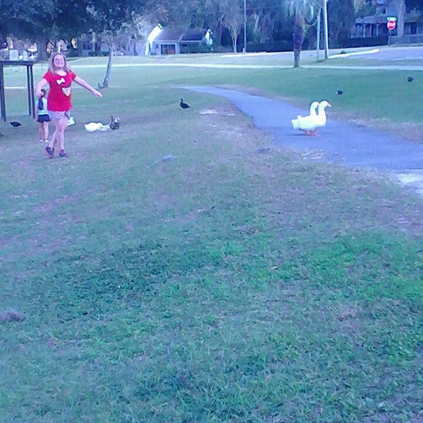 Lake Lillian Belleview Fl Park in Belleview